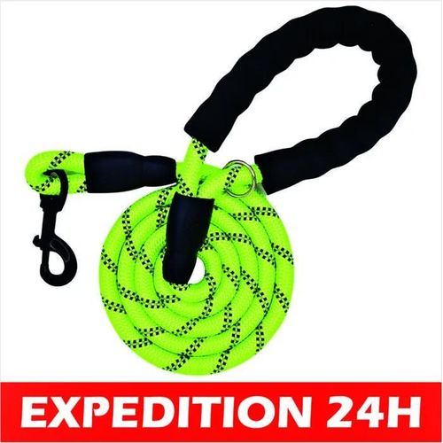 Laisse Chien, Laisse De Dressage Pour Chien, Rembourrée, Poignée Souple, Corde Pour Chiots Et Petits, Moyens Et Grands Chiens, 1,2 E