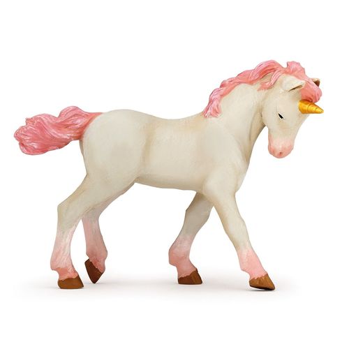 Le Monde Enchante Jeune Licorne