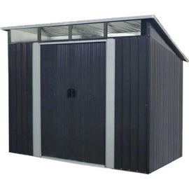Abri De Jardin Acier 4.59 M2. Avec Kit D'ancrage Inclus