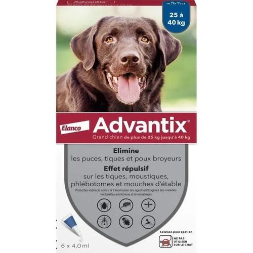Solution Advantix Grand Chien 6 Pip.