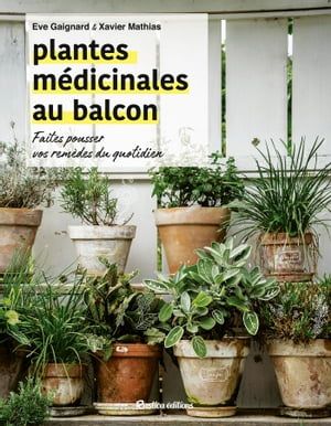 Plantes Médicinales Au Balcon