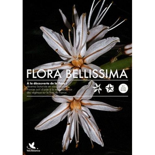 Flora Bellissima