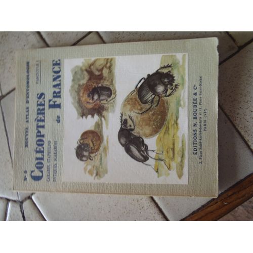 Coleopteres De France Carabes Staphylins Dytiques Scarabees Ed Boubee