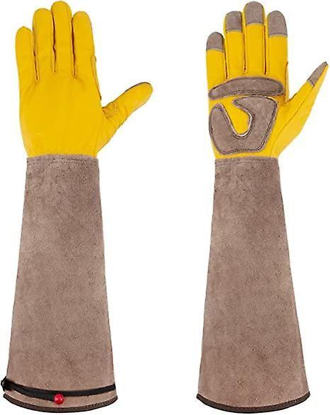 Christelle Gants de jardin avec protection de l'avant-bras pour hommes/ femmes, gants de travail durables en cuir de vachette pour jardiniers et  agriculteursxl