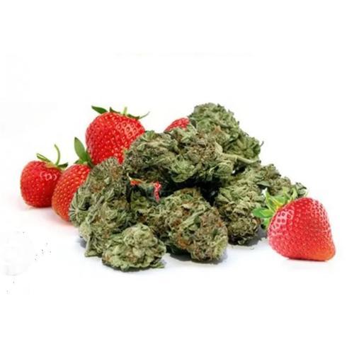 Strawberry (Cbd + Cbda : 15,35% - Thc0.3%). La Fleur Strawberry Haze Est Cultivée En Indoor Dans Des Chambres De Culture. Elle Est Compacte Avec Des Odeurs De Baies Et Une Pointe Légèrement Terreuse. 