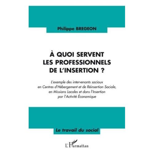 A Quoi Servent Les Professionnels De L'insertion ?: L'exemple Des Intervenants Sociaux En Centres D'hébergement Et De Réinsertion Sociale, En Missions Locales Et Dans L'insertion Par L'activité Economique