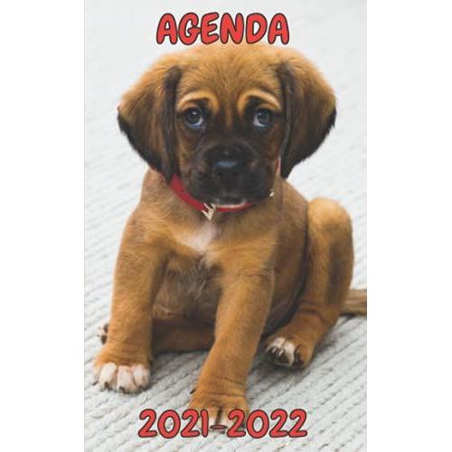 Agenda Chiot 2021 2022: Chien | Animal | Planificateur Journalier Et Semainier | Septembre 2021 À Septembre 2022 | Format Idéal Pour Emmener En Cours