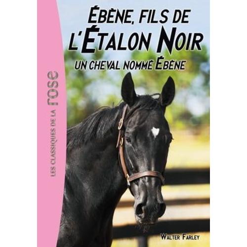 L'étalon Noir 22 - Un Cheval Nommé Ébène