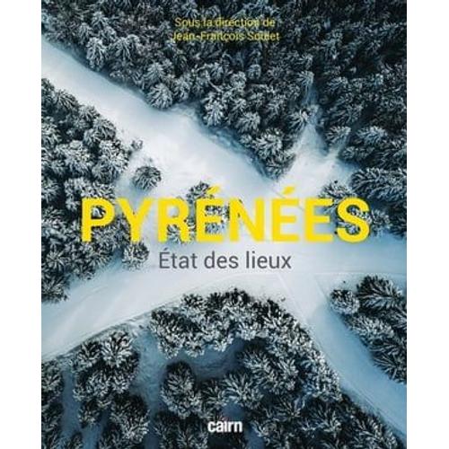 Pyrénées - État Des Lieux