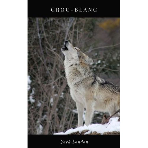 Croc-Blanc
