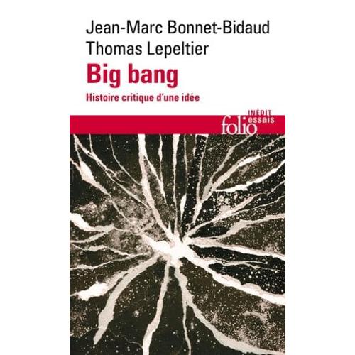 Big Bang. Histoire Critique D'une Idée