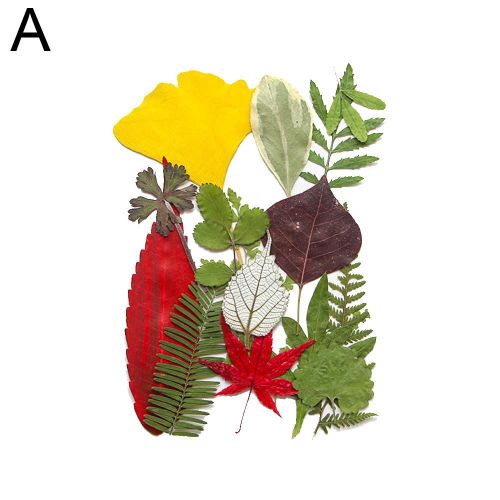 Feuilles Séchées Naturelles, Fleurs Vertes, Bricolage, Cristal, Résine Époxy, Sous-Verre, Pour Bijoux En Résine, Artisanat Mate M7j8