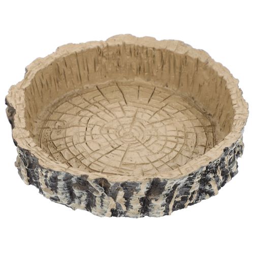 Plate-Forme D'alimentation De Lézard Pour Reptiles, Terrarium Pour Salle De Reptiles, Plat À Eau Pour Ver, Terrarium Gecko