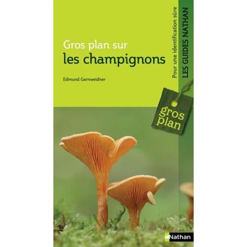 Gros Plan Sur Les Champignons