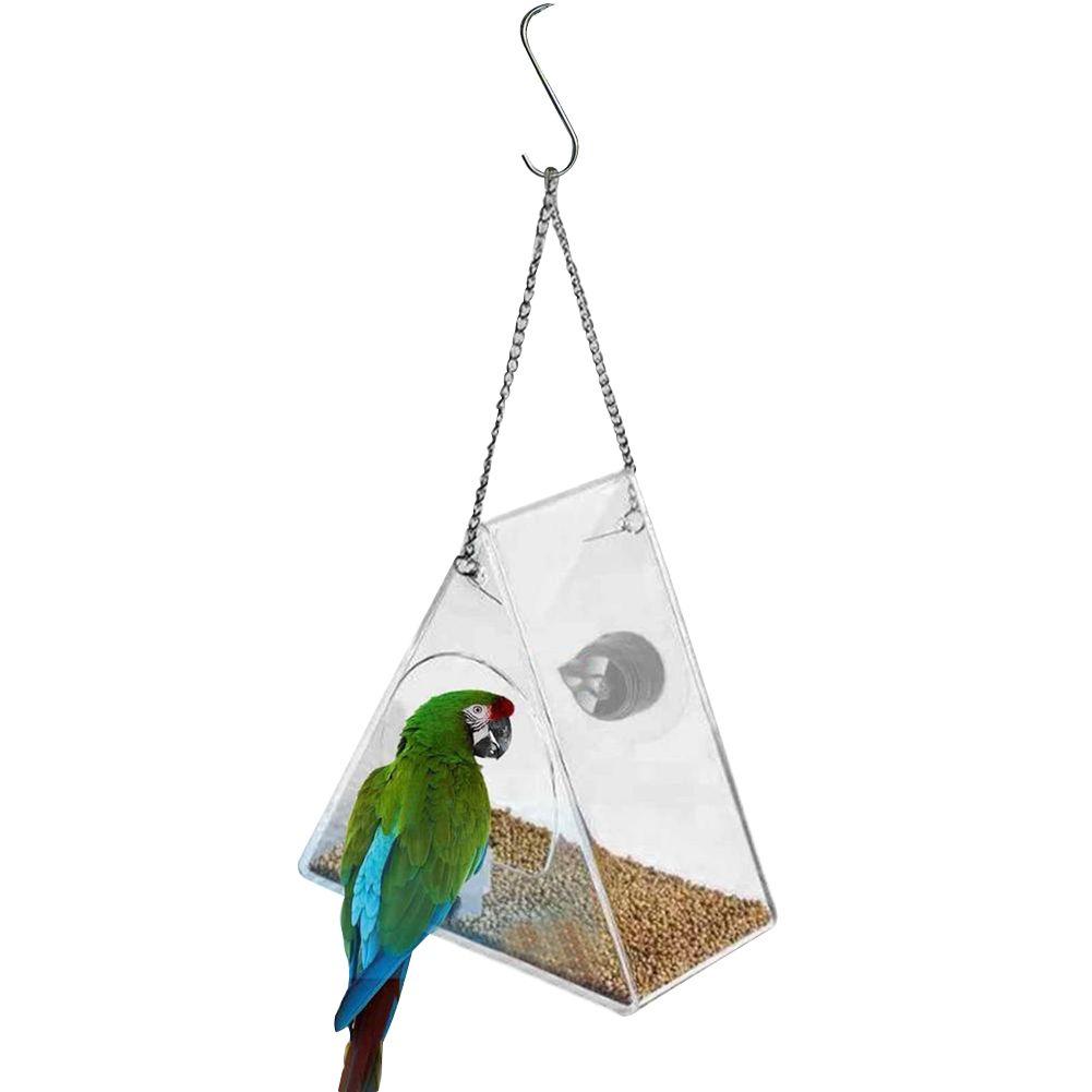 Mangeoire à oiseaux intelligente en acrylique avec caméra