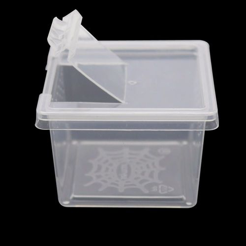 Boîte Transparente En Plastique Pour La Vie Des Reptiles, Terrarium, Abri Idéal Pour Les Scorpions, Les Fourmis, Les Caméléons, Les Lézards, 1 Pièces
