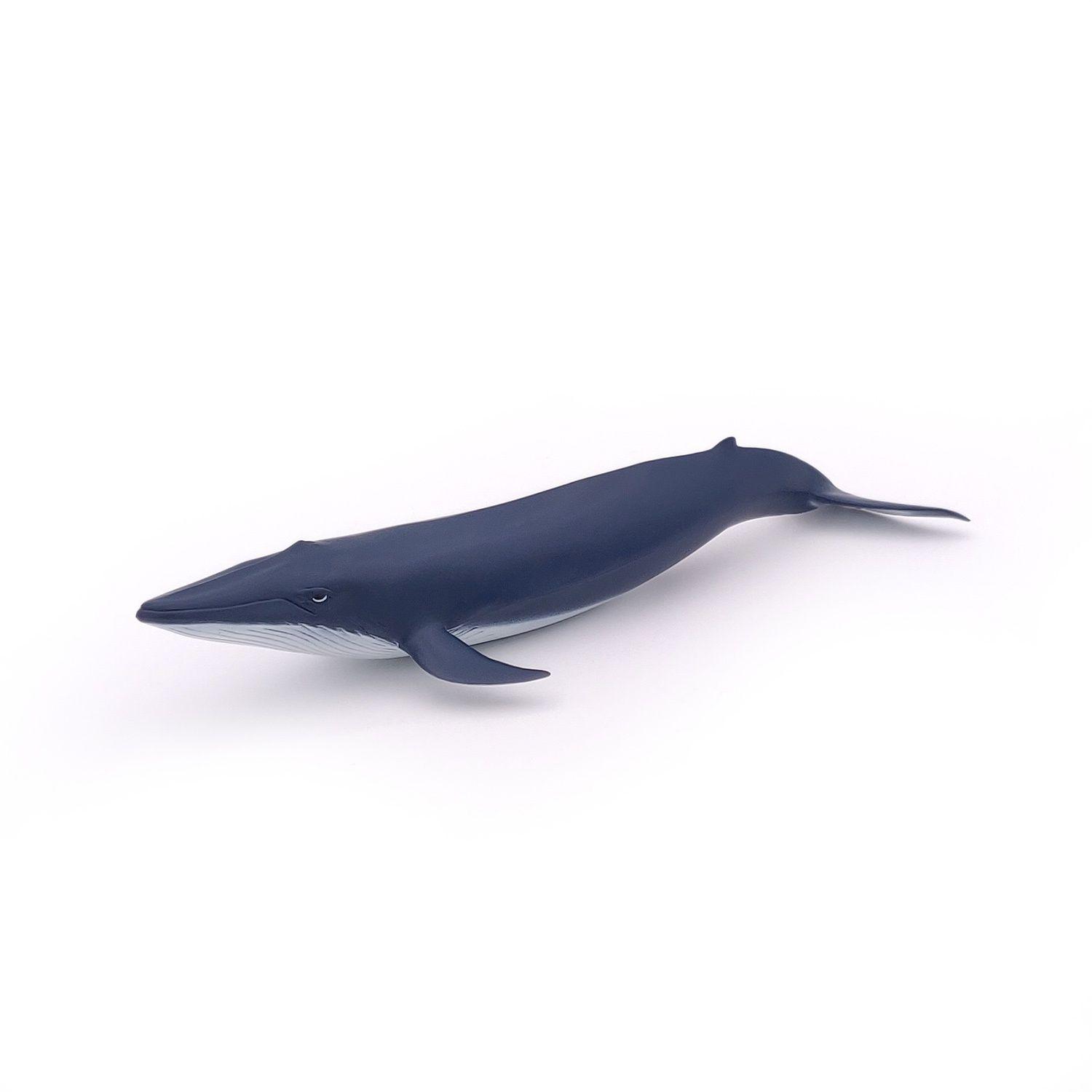 Figurine Baleine à bosse - Figurines Papo. De 2 à 8 ans