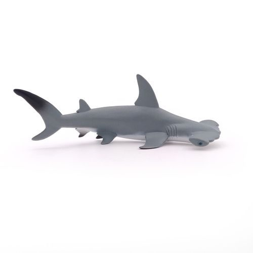 L'univers Marin Requin Marteau