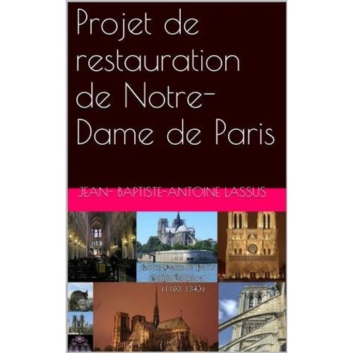 Projet De Restauration De Notre-Dame De Paris
