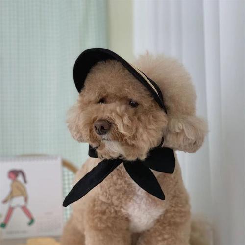 Ins Cat ? Chapeau De Protection Solaire Pour Chien, Chapeau Pour Petit Chien, Décoration De Style Pastoral, Photo De Chien, Costume D'anniversaire