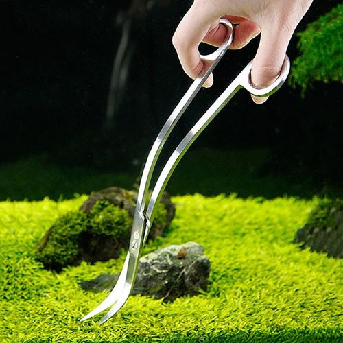 Ciseaux D'aquarium Incurvés En Acier Inoxydable, Outil De Coupe De Plantes D'aquarium, Accessoires De Nettoyage D'aquarium, Outils De Taille D'herbe À Eau