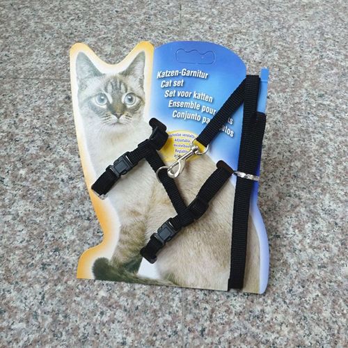 Harnais De Traction Réglable Pour Chat, Avec Laisse Pour Chaton, Ceinture À Col Licou Sans Carton
