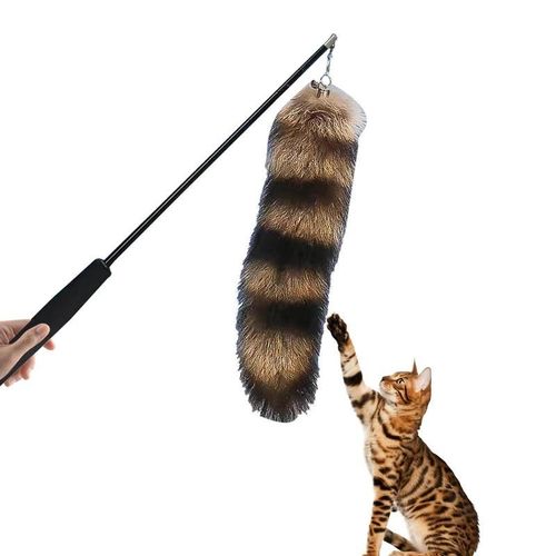 Rétractable Chat Teaser Baguette Jouet Jouet De Chat Interactif Rétractable Baguette Magique De Chat Jouet Interactif Chat Baguette Jouets Pour Chats Danseur Teaser