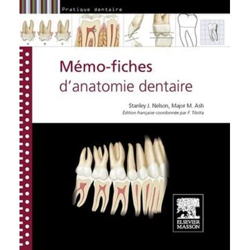 Mémo-Fiches D'anatomie Dentaire