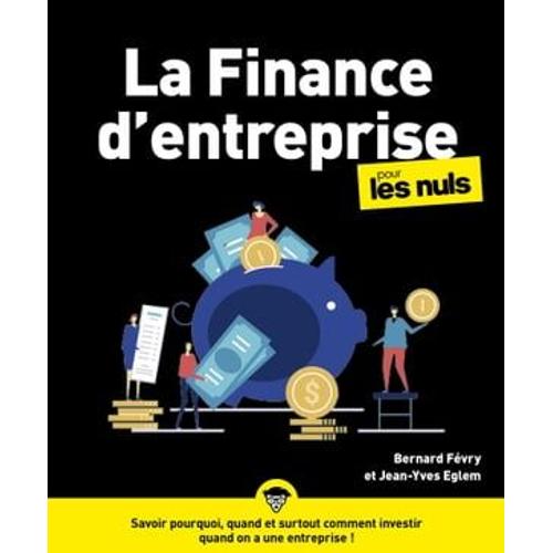 La Finance D'entreprise Pour Les Nuls Ne