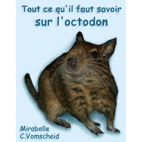 Tout Ce Qu'il Faut Savoir Sur L'octodon