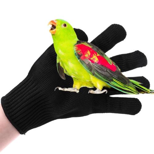 Gants Anti-Morsure Pour Oiseaux, Perroquet Hamster À Mâcher, Gants De Protection De Sécurité Pour Le Travail