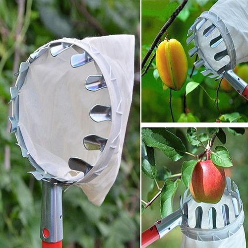 Outils De Cueillette De Fruits En Métal Punicef Verger, Pomme, Pêche, Arbre Haut, Attrape-Fruits, Collecteur, Outils De Jardinage