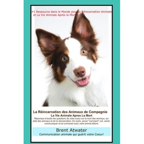 La Réincarnation Animale Et La Vie Animale Apres La Mort: Réponses À Toutes Les Questions De Votre Coeur !