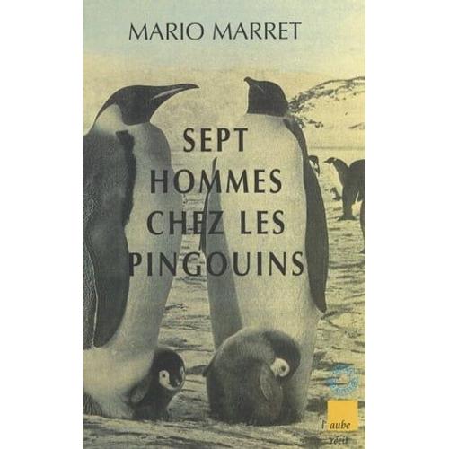 Sept Hommes Chez Les Pingouins