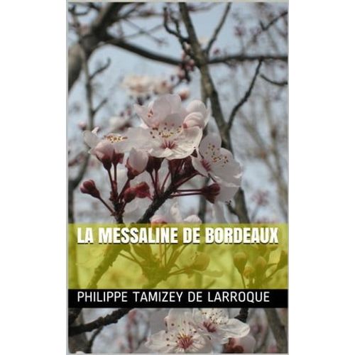 La Messaline De Bordeaux
