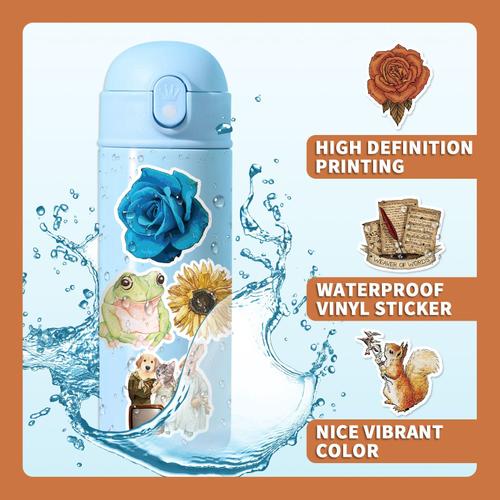 Lot de 100 Autocollants Aesthetic Bohème - en Vinyle - Grands Autocollant -  Sticker pour Bouteille d'eau Bagage Cadeaux et Scrapbooking