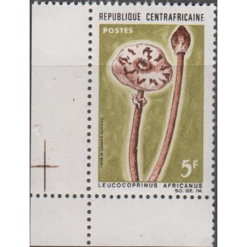 Centrafrique 1967
