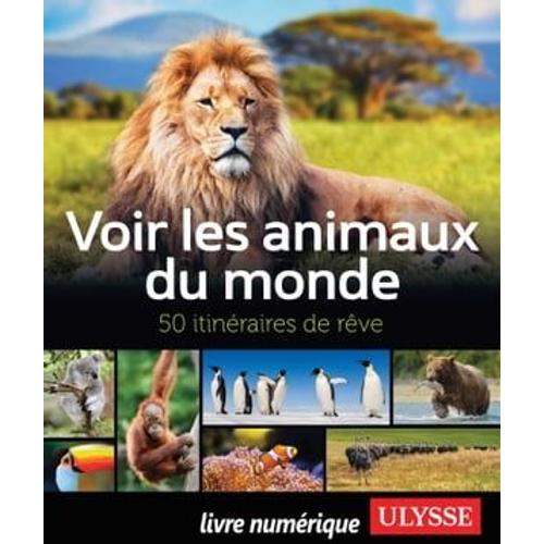 Voir Les Animaux Du Monde - 50 Itinéraires De Rêve