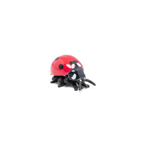 La Vie Sauvage Coccinelle