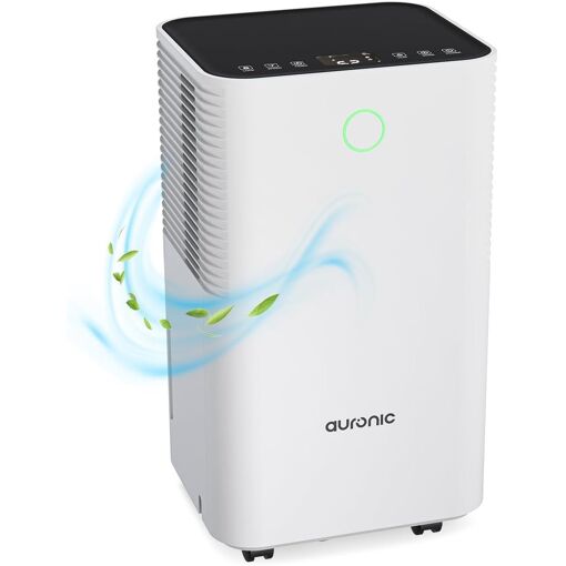 Déshumidificateur électrique 12L/jour - Pour Maison, Cave, Salle De Bain | Silencieux, Réservoir 2L, Minuterie 12h