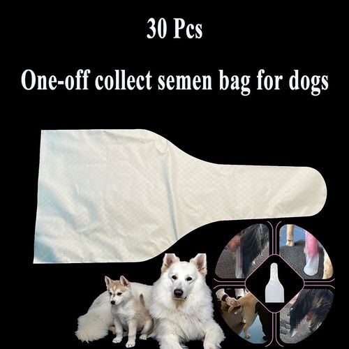 Outils D'insémination Artificielle De Poulet, Collecte De Sperme, Sac De Sperme De Renforcement Unique, Clinique Souple Pour Chien, Animal De Compagnie Canin Médical, 30 Pièces