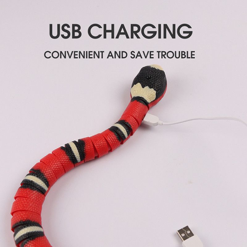 Détection intelligente Snake Cat Jouets Jouets interactifs électrique pour  les chats Cat de recharge USB Accessoires pour Chiens Jouet de jeu - Chine  Cat jouets et Electric cat cat Jouet Jouet prix