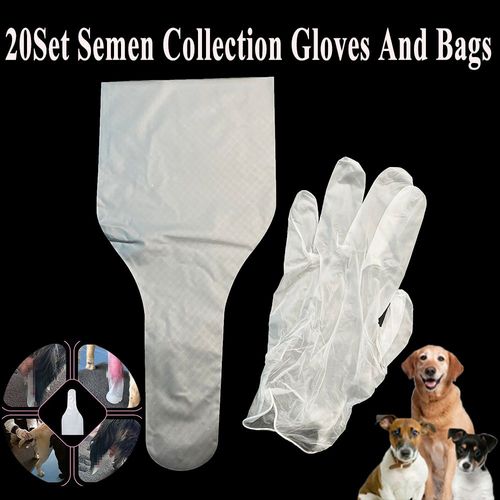 Sacs Et Gants Jetables En Vinyle Pour La Collecte De Sperme De Chien, 20 Pièces, Pour Inspection Artificielle, Clinique Pour Animaux De Compagnie