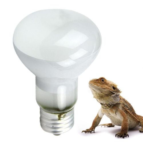 Lampe À Chaleur Pour Reptile, Spectre Parfait, Lumière Pour Se Prélasser, Pour Lézard, Tortue, Dragon Barbu, Hérisson, Amphibiens