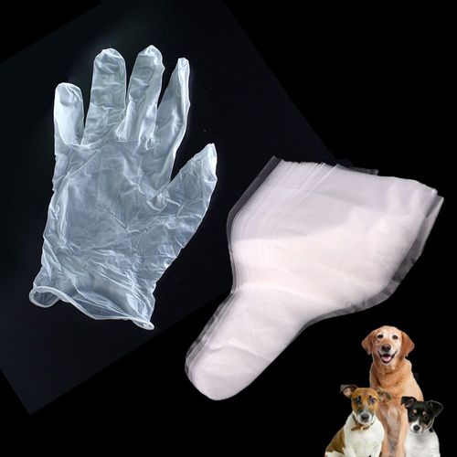 Sacs Professionnels Pour La Collecte De Sperme Canin, 10 Pièces, Kit De Gants Pour La Collecte De Spermatozoïdes Artificiels Pour Chiens, Outils Consommables Pour Clinique Et Laboratoire