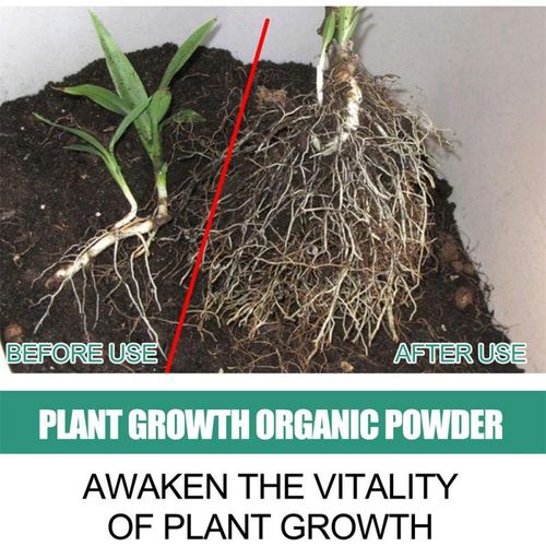 Advertillll-Hpronostic Root Growth, Plant, Organic Powder, Incluent, Safety, Active Enzyme, Help To Favorise La Synthèse De Combo Advertilll