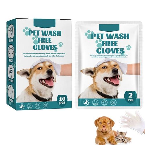 Lavage Pour Animaux De Compagnie Confortable Lingette Pour Animaux De Compagnie Gants 10pcs Chien Essuyer Gants Mains Libres Emballage Scellé Aucun Nettoyage Enlever La Saleté Quotidienne Pour