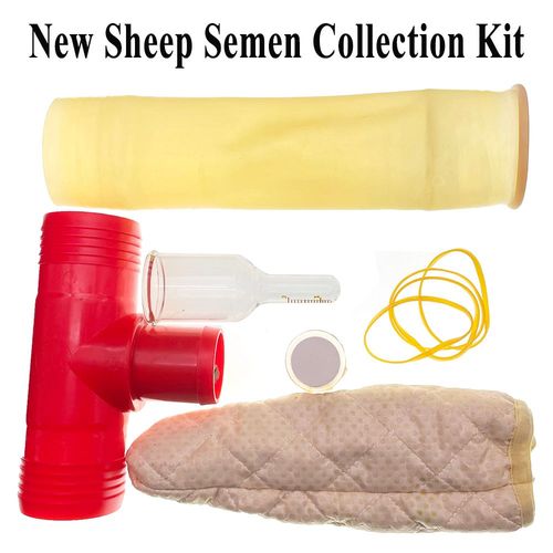 Kit De Collecte De Sperme De Mouton, Insémination Artificielle, Dispositif De Renforcement Des Spermes, Tube Intérieur En Verre, Couvercle D'isolation, Nouveau Design, 1 Ensemble