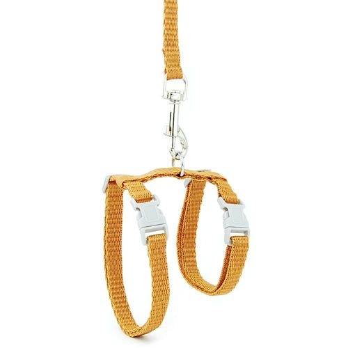 Laisse Réglable En Forme De I Pour Chat Et Chien, Corde De Traction Douce Pour Animaux De Compagnie, Pour Marche En Plein Air, Pour Chiot, Fournitures Pour Animaux De Compagnie
