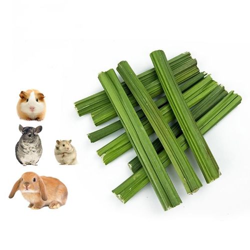 Q1jb ? Tige De Papayas Pour Lapin, Jouet À Mâcher Pour Hamster À Mâcher